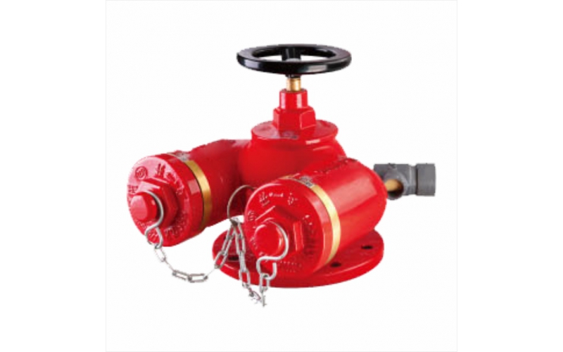 SQD100-1.6 SQD150-1.6 多用式消防水泵接合器
